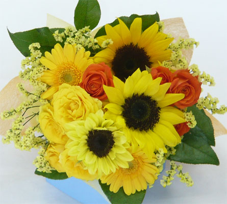 ����ԁ@���ԉԑ�/�Ђ܂��u�[�P